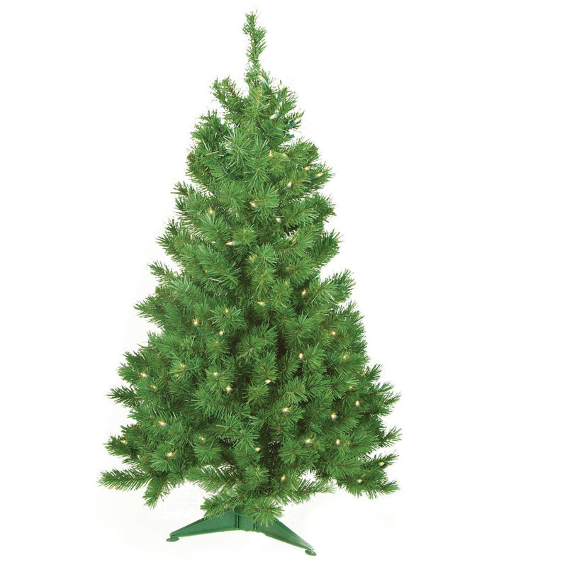 Green Christmas Tree With White Lights 